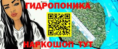 спиды Кунгур