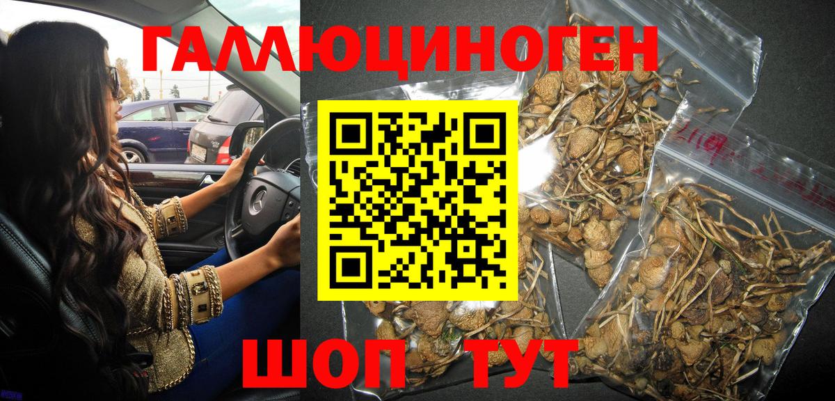 Псилоцибиновые грибы прущие грибы  Псилоцибиновые грибы GOLDEN TEACHER  Ипатово  Вход с VPN 