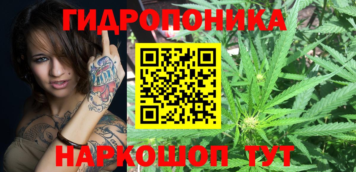 МАРИХУАНА планчик  Канабис ГИДРОПОН  Ипатово  Вход с VPN  Канабис семена 